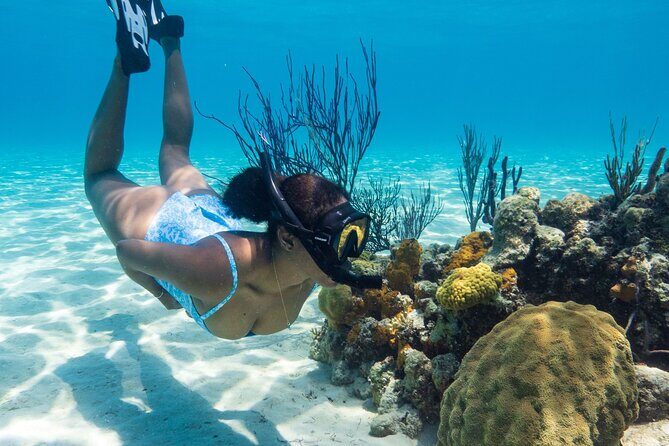 Explore Nassau's Best Spots with Snorkeling Tour - The Experience: What to Expect on Your Snorkeling Adventure