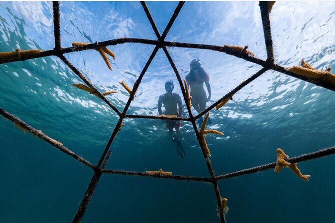 Explore Nassau's Best Spots with Snorkeling Tour - FAQ