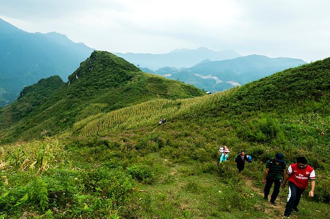 Explore Nature View And Homestay Experience - Whats Included in the Tour