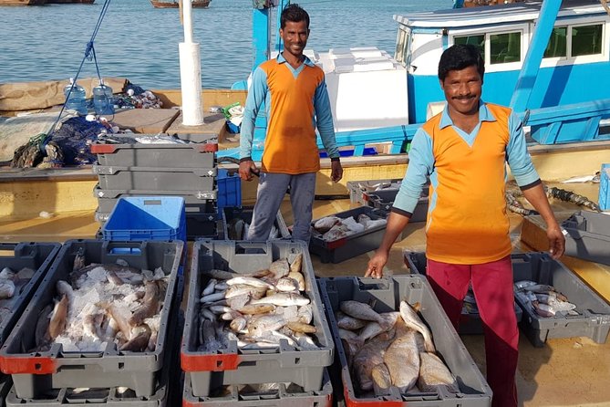 Explore North of Qatar: Visit Zubarah Fort and Fishing Town of Al Khor - Highlights of the Fishing Town