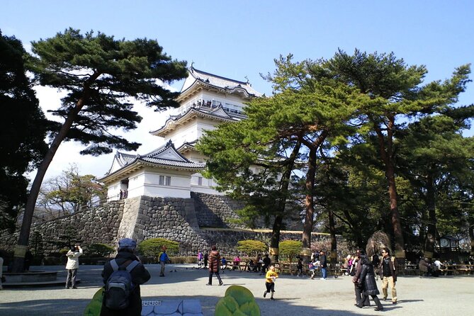 Explore Odawara Castle Samurai Seaside and Traditional Crafts - Explore the Stunning Seaside Landscape