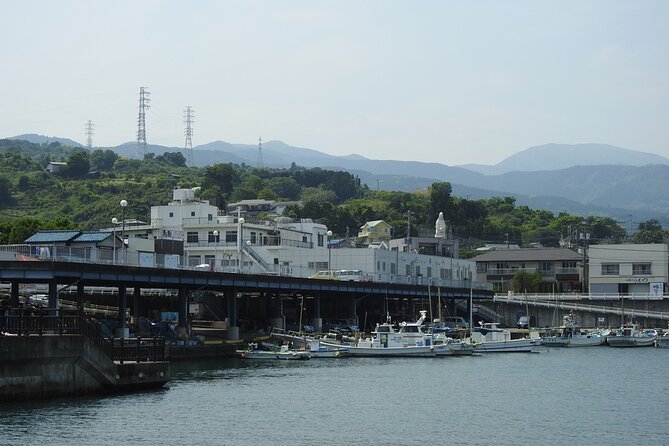 Explore Odawara Castle Samurai Seaside and Traditional Crafts - Ride the Thrilling Wooden Coaster