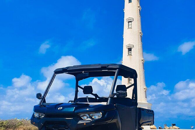 Explore On Your Own Offroad UTV 3 Seat - Authentic Insights from Reviews