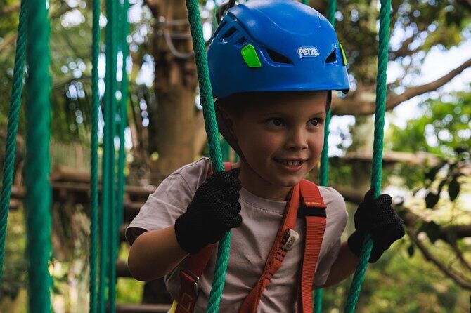 Explore Ourimbah State Forest Junior Tree Ropes Course - Setting the Scene: An Outdoor Escape in NSW’s Eucalyptus Forest