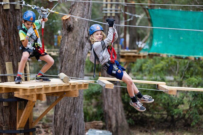 Explore Ourimbah State Forest Junior Tree Ropes Course - The Experience from a Traveler’s Perspective