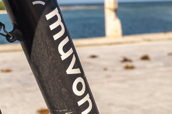 Explore Paradise on Wheels: Bike Rentals in Playa del Carmen - A Closer Look at the Experience