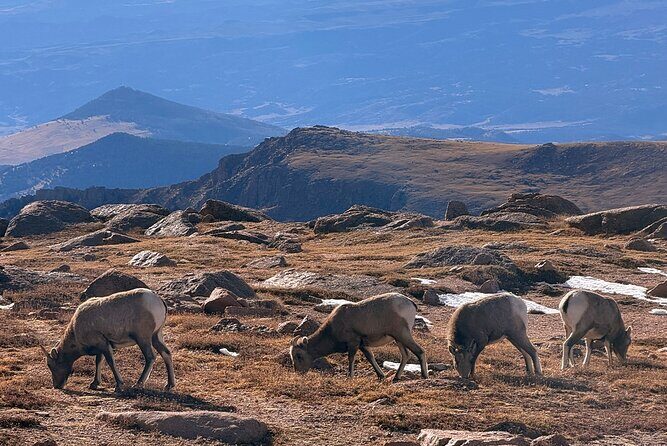 Explore Pikes Peak and Garden of the Gods Full Day Tour - Why This Tour Offers Good Value
