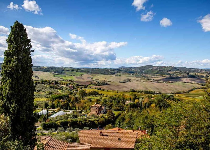 Explore Pisa, San Gimignano & Siena on a Scenic Tuscany Trip - Authenticity and Traveler Feedback
