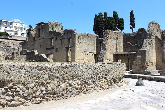 Explore Pompeii & Herculaneum on a Private Guided Tour - Final Thoughts