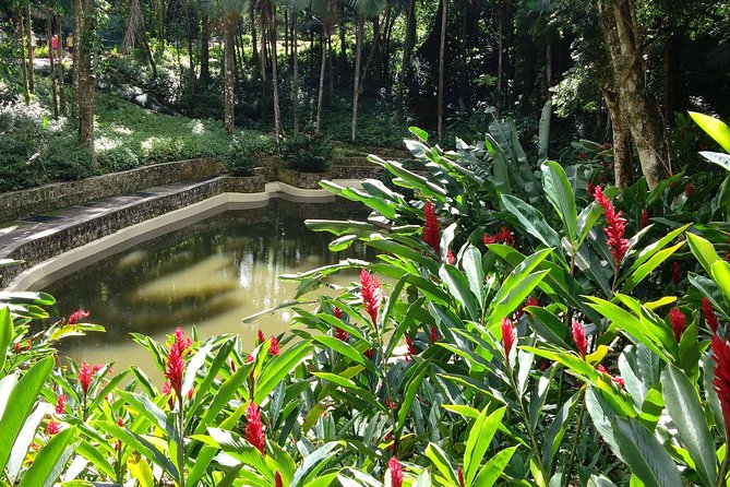 Explore Puerto Platas Best With Cable Car - Shore Excursion - Scenic Views and Experiences