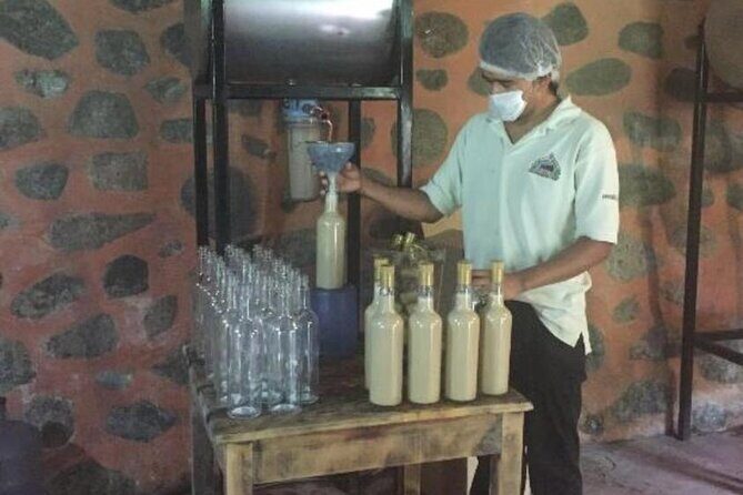 Explore Puerto Vallarta and Tequila Tasting - FAQ