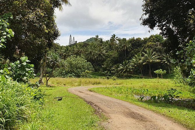 'Explore' Rarotonga Guided Bike Tour with Lunch and Swim - The Bottom Line: Who Will Love This Tour?
