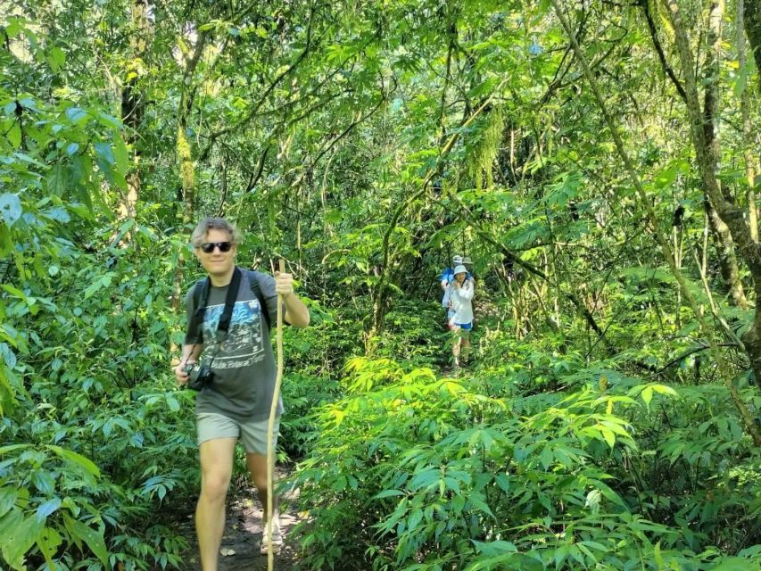 Explore Rice Terraces Munduk & Waterfall Trekking Experience - Trekking Experience