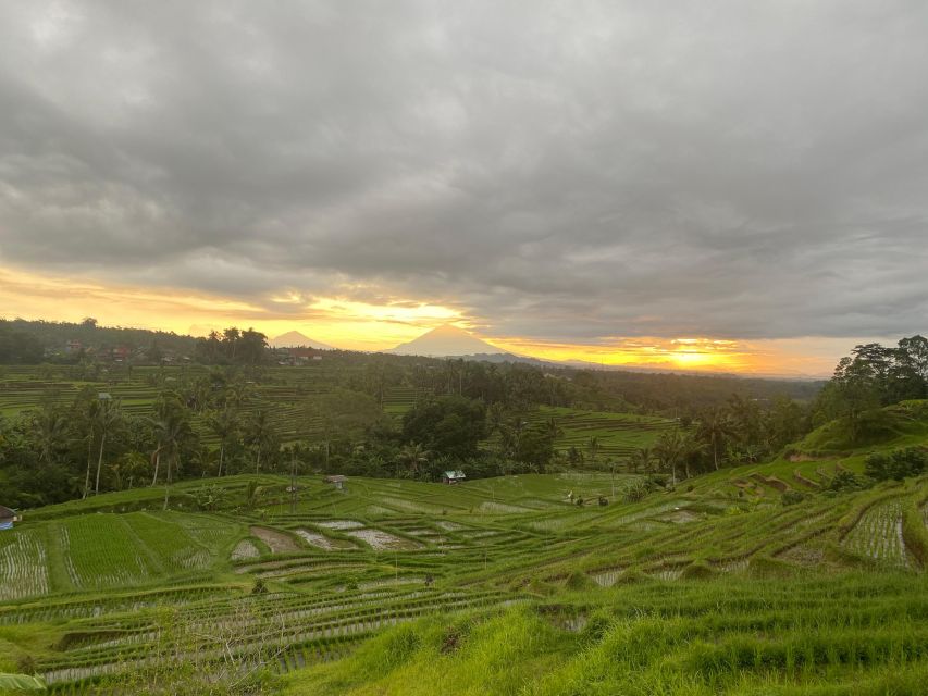 Explore Rice Terraces Munduk & Waterfall Trekking Experience - Cultural Immersion