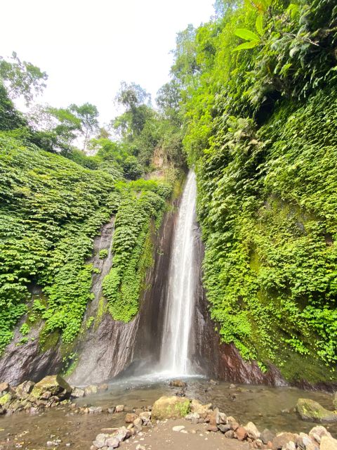 Explore Rice Terraces Munduk & Waterfall Trekking Experience - Reserve Now and Pay Later