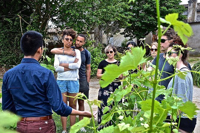 "Explore Saint-Émilion on e-Bikes: Small Group, half-Day Tour" - Why Choose This Tour? An In-Depth Look