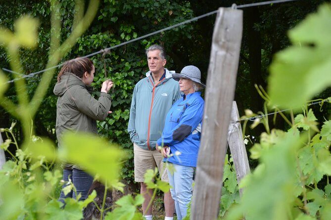 "Explore Saint-Émilion on e-Bikes: Small Group, half-Day Tour" - Frequently Asked Questions