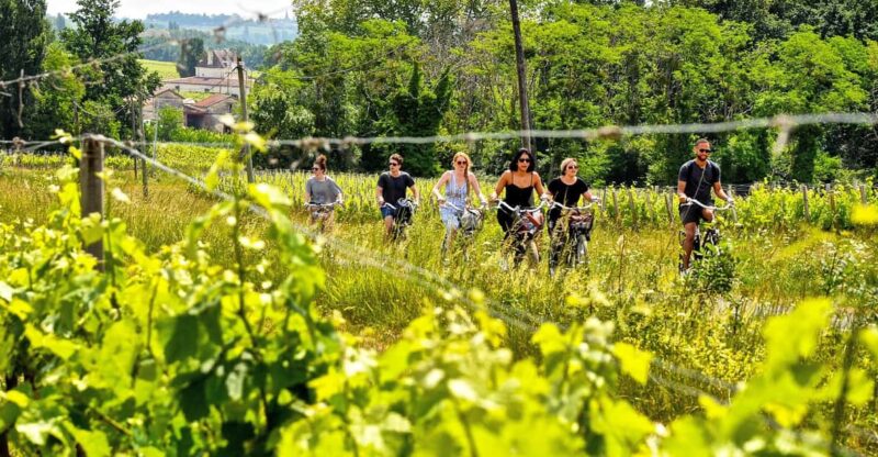Explore Saint-Émilion on E-Bikes: Small Group, Half-Day Tour - Itinerary Highlights
