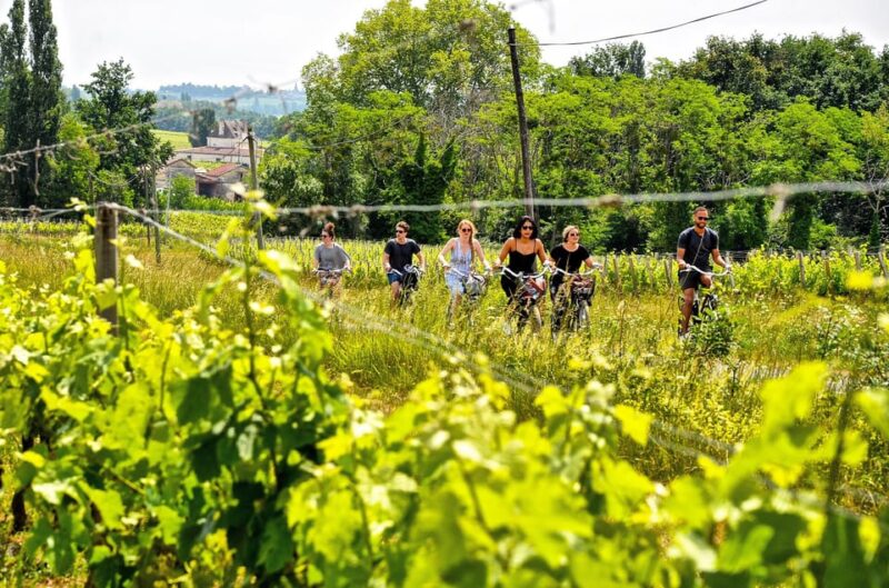 Explore Saint-Émilion on E-Bikes: Small Group, Half-Day Tour - Tour Features