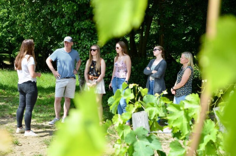 Explore Saint-Émilion on E-Bikes: Small Group, Half-Day Tour - Requirements and Recommendations