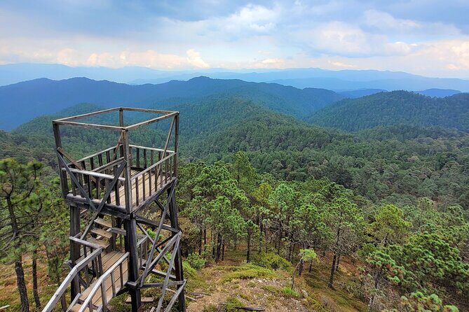 Explore Sierra Norte, Half-Day Hiking Adventure - Exploring the Sierra Norte, Half-Day Hiking Adventure: A Heartfelt Review