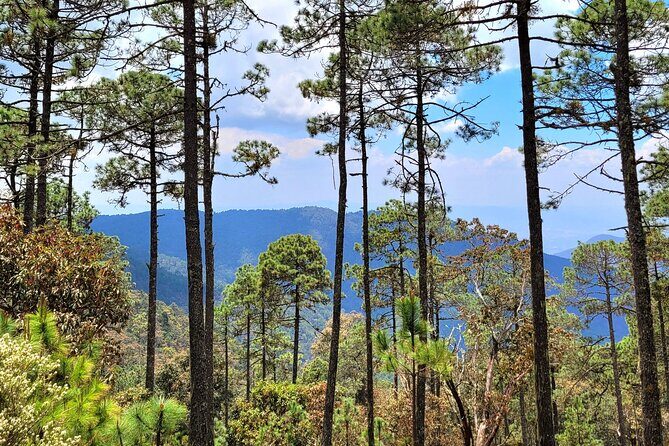 Explore Sierra Norte, Half-Day Hiking Adventure - The Itinerary: What to Expect on Your Mountain Adventure