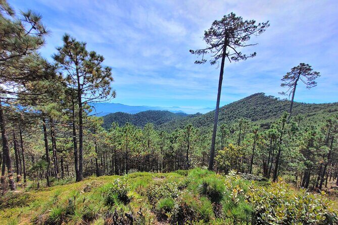 Explore Sierra Norte, Half-Day Hiking Adventure - A Well-Balanced Experience