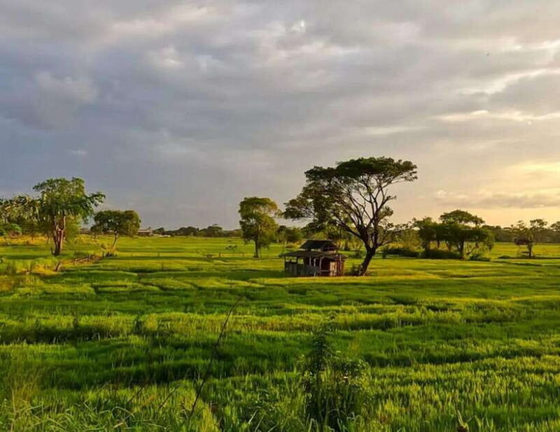 Explore Sigiriyas Hidden Gems: Off-the-Beaten-Path Tour - Practical Aspects and What You Should Know  