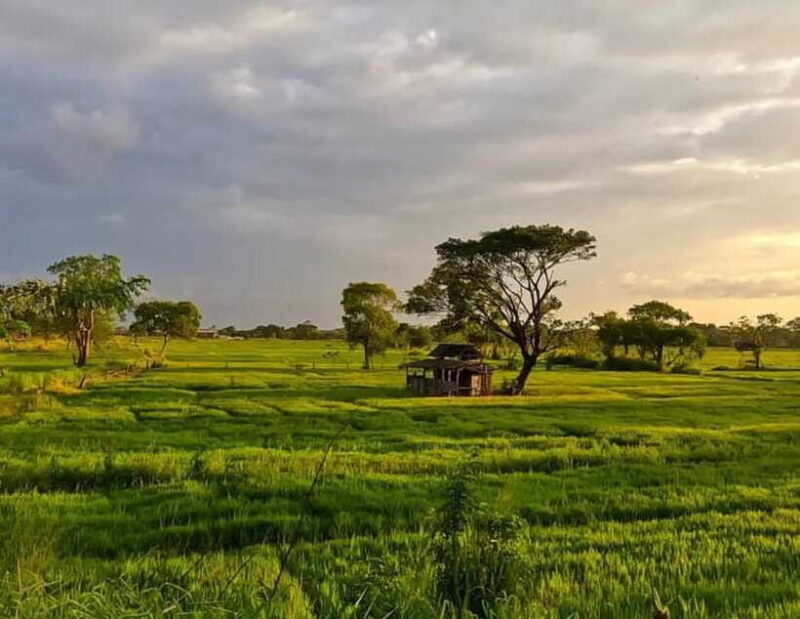 Explore Sigiriyas Hidden Gems: Off-the-Beaten-Path Tour - FAQ  