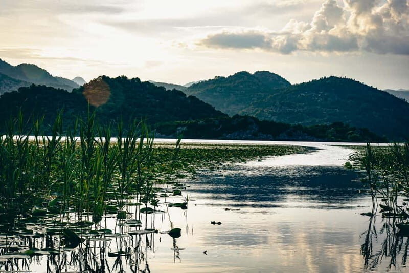 Explore Skadar Lake: Exclusive Guided Boat Falcon Tour! - Key Points