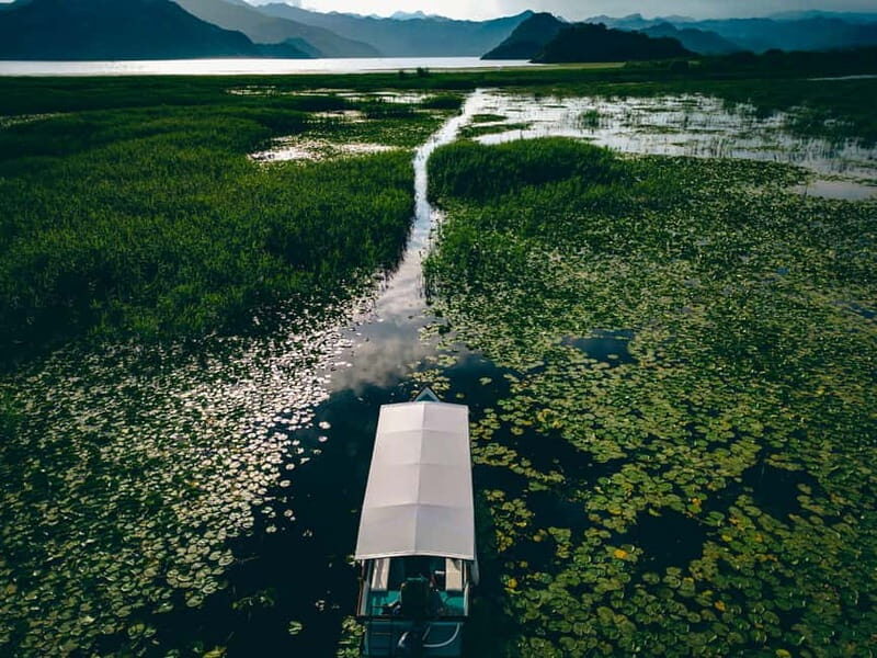 Explore Skadar Lake: Exclusive Guided Boat Falcon Tour! - A Deep Dive into the Skadar Lake Falcon Tour