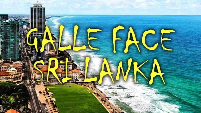Explore Sri Lanka: One-Day City Tour with Colombo Highlights - A Deep Dive into the Colombo City Tour Experience