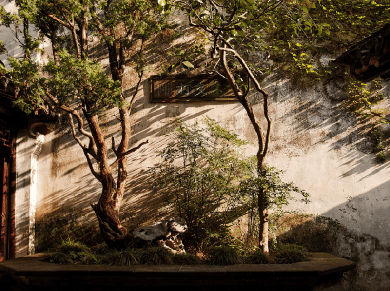 Explore Suzhous Hidden Gardens&Enchanting Tongli Watertown - Discover Suzhous Iconic Water Town