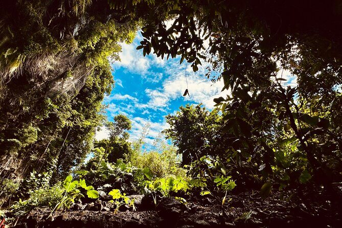 Explore Tahiti Nui, its landscapes and iconic sites. - A Detailed Look at the Itinerary