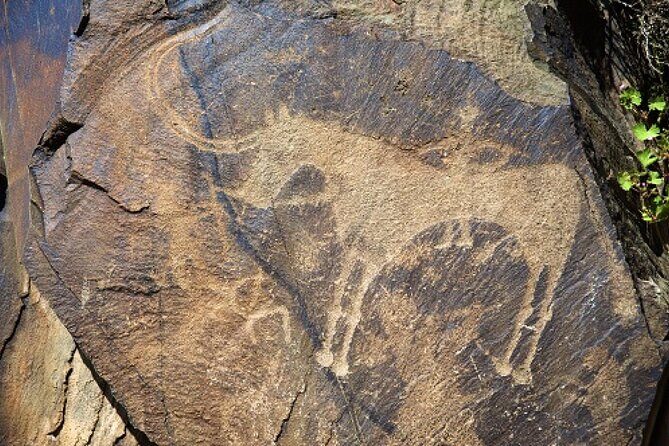 Explore Tanbaly and Tamgaly Tas in 1 day! - FAQ