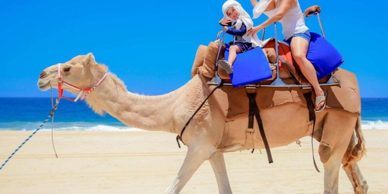 Explore Tangier: Cap Spartel, Cave, & Camel Ride Adventure - Cap Spartel: Breathtaking Views