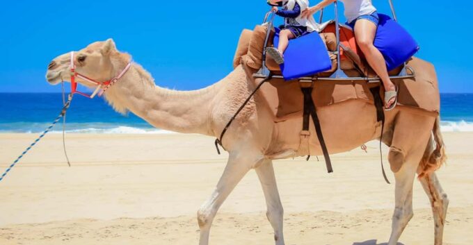 Explore Tangier: Cap Spartel, Cave, & Camel Ride Adventure - Inclusions and Exclusions