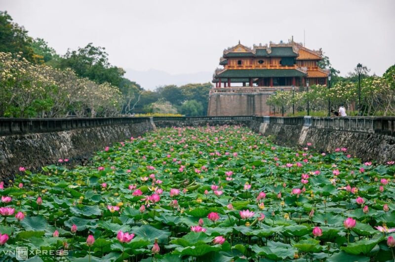 Explore the Ancient Beauty of the Imperial City of Hue - Exploring the Imperial Citadel