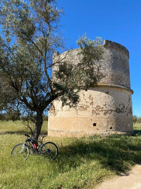 Explore the Beauty of Porto Selvaggio Self-Guided Bike Tour - The Sum Up