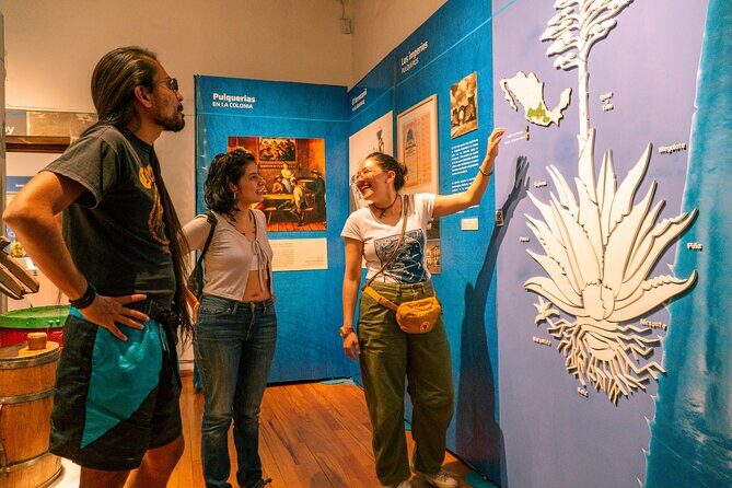 Explore the Best Pulquerías A Taste of Traditional Mexican Drink - Who Should Consider This Tour?