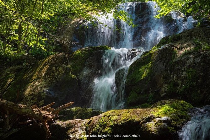 Explore the Blue Ridge Mountains: Private Day Trip From Asheville - Exploring Blowing Rock and Swannanoa