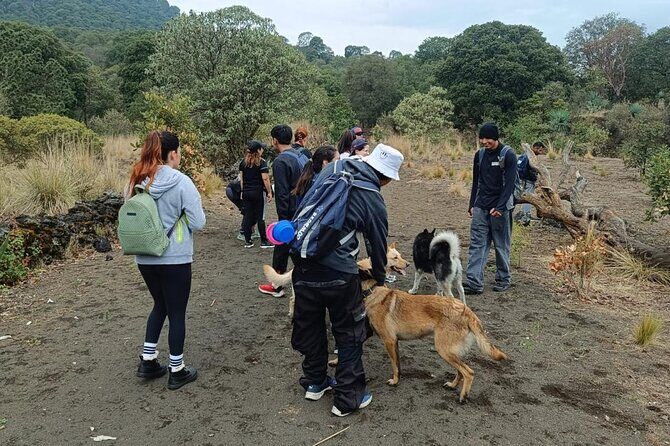 Explore the Caves of an Inactive Volcano on CDMX - Who Will Enjoy This Tour?