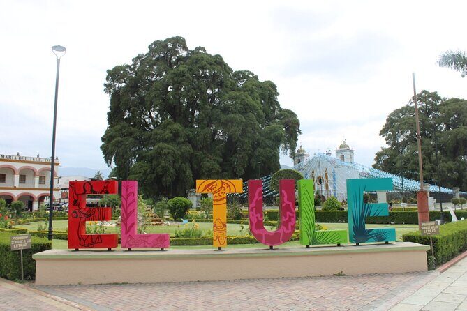 Explore the Essence of Oaxaca Tour to Hierve Water - Exploring the Heart of Oaxaca: A Detailed Review of the Hierve Water Tour