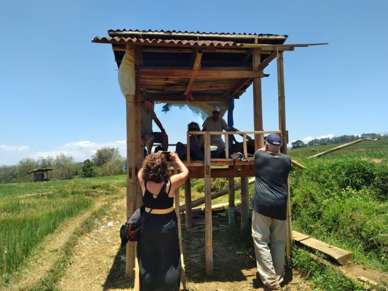 Explore the Flower City of Malino & Breathe the Cool Air - Tour Highlights