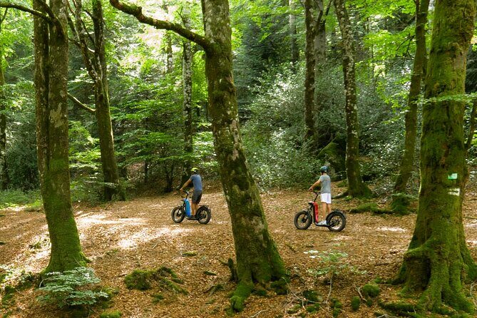 Explore the forests of Haut Languedoc on an electric scooter - The Starting Point and Logistics