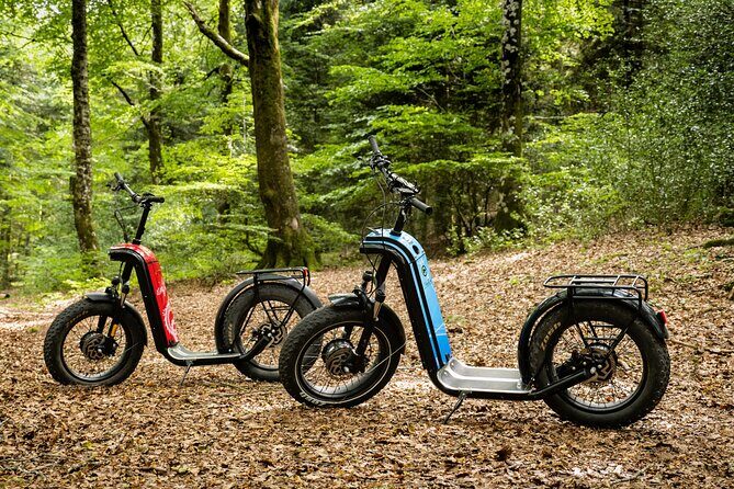Explore the forests of Haut Languedoc on an electric scooter - Who Will Love This Tour?