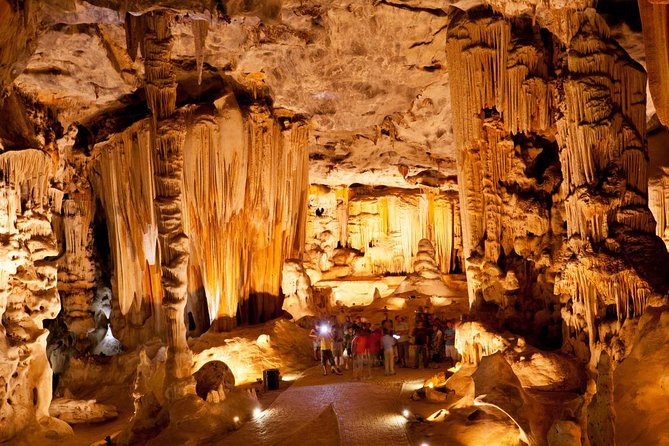 Explore the Garden Route From Cape Town - 4 Days - Inclusions and Amenities