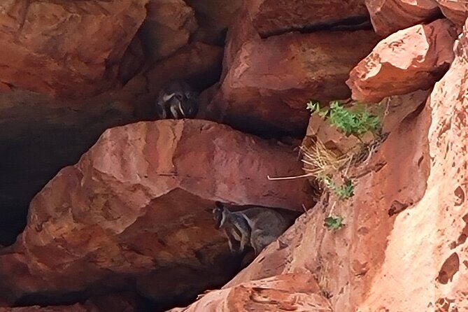 Explore the Hidden Gorges: Kalbarri 4WD, Hike, Canoe Experience - A Detailed Look at the Adventure