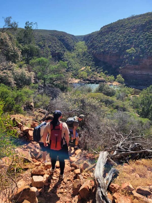 Explore the Hidden Gorges: Kalbarri N.P, 4WD, Hike, Canoe - Final Thoughts: Who Is This Tour For?