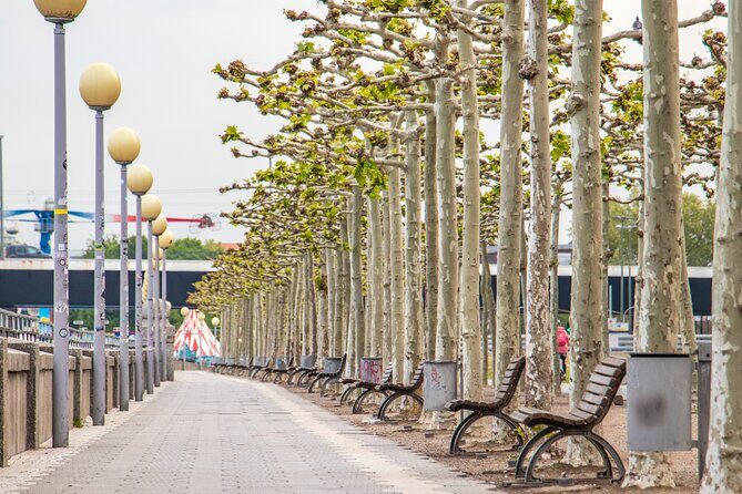 Explore the Instaworthy Spots of Dusseldorf with a Local - A Detailed Breakdown of the Itinerary